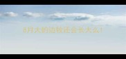 8月大的边牧还会长大么