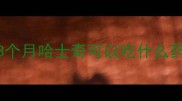 3个月哈士奇可以吃什么药