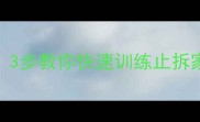 拉布拉多拆家狂魔3步教你快速训练止拆家附训练视频教程