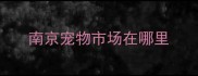 南京宠物市场在哪里