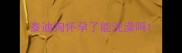 泰迪狗怀孕了能洗澡吗