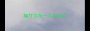猫打疫苗一人怎么打