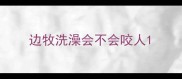 边牧洗澡会不会咬人