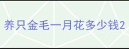 养只金毛一月花多少钱