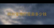 梧州宠物打疫苗多少钱