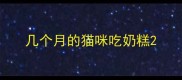 几个月的猫咪吃奶糕