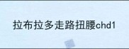 拉布拉多走路扭腰chd