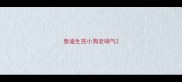 泰迪生完小狗老喘气