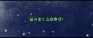 猫咪坐车注意事项
