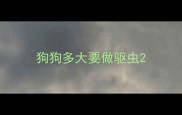 狗狗多大要做驱虫