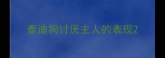 泰迪狗讨厌主人的表现