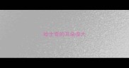 哈士奇的耳朵很大