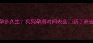 猫咪怀孕多久生狗狗孕期时间表全新手养宠必看