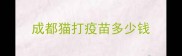 成都猫打疫苗多少钱