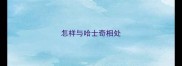 怎样与哈士奇相处