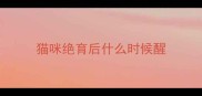 猫咪绝育后什么时候醒