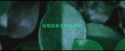 拉布拉多犬怕蚊子吗