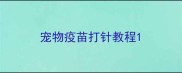 宠物疫苗打针教程