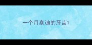 一个月泰迪的牙齿