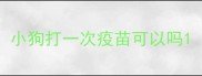 小狗打一次疫苗可以吗