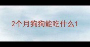 2个月狗狗能吃什么