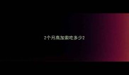 2个月高加索吃多少