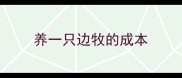 养一只边牧的成本