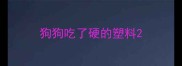 狗狗吃了硬的塑料