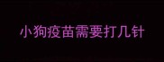 小狗疫苗需要打几针