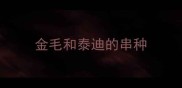 金毛和泰迪的串种
