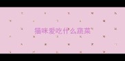 猫咪爱吃什么蔬菜