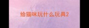 给猫咪玩什么玩具