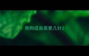 狗狗疫苗需要几针