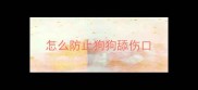 怎么防止狗狗舔伤口