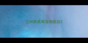 兰州铁路局宠物医院