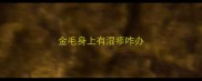 金毛身上有湿疹咋办