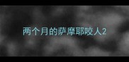 两个月的萨摩耶咬人