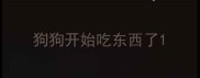 狗狗开始吃东西了
