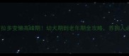 拉布拉多变懒高峰期幼犬期到老年期全攻略养狗人必看