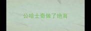 公哈士奇做了绝育