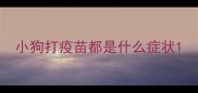 小狗打疫苗都是什么症状