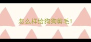 怎么样给狗狗剪毛