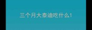 三个月大泰迪吃什么