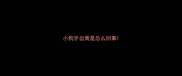 小狗牙齿黄是怎么回事