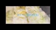 两个月小猫驱虫跳蚤