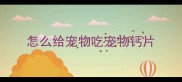 怎么给宠物吃宠物钙片