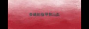 泰迪的指甲剪出血