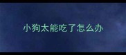 小狗太能吃了怎么办