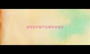 边牧在外面不拉屎回来就拉