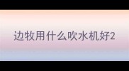 边牧用什么吹水机好